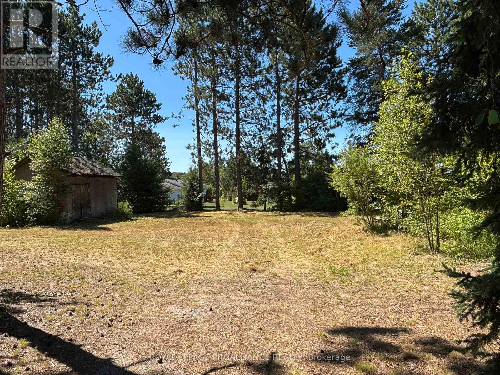 49 Second Avenue, South Algonquin, Ontario  K0J 2M0 - Photo 25 - X12344563