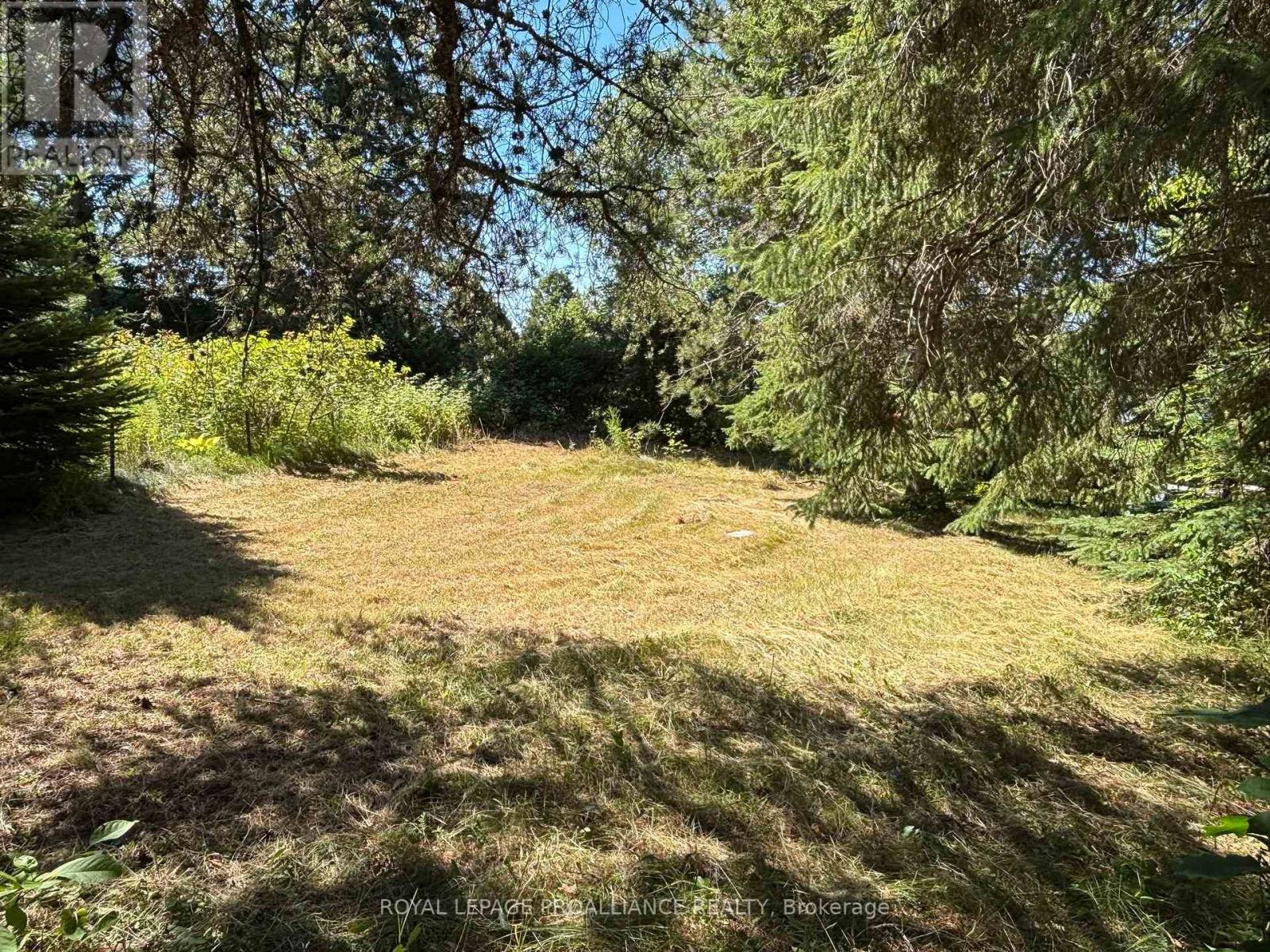 49 Second Avenue, South Algonquin, Ontario  K0J 2M0 - Photo 26 - X12344563