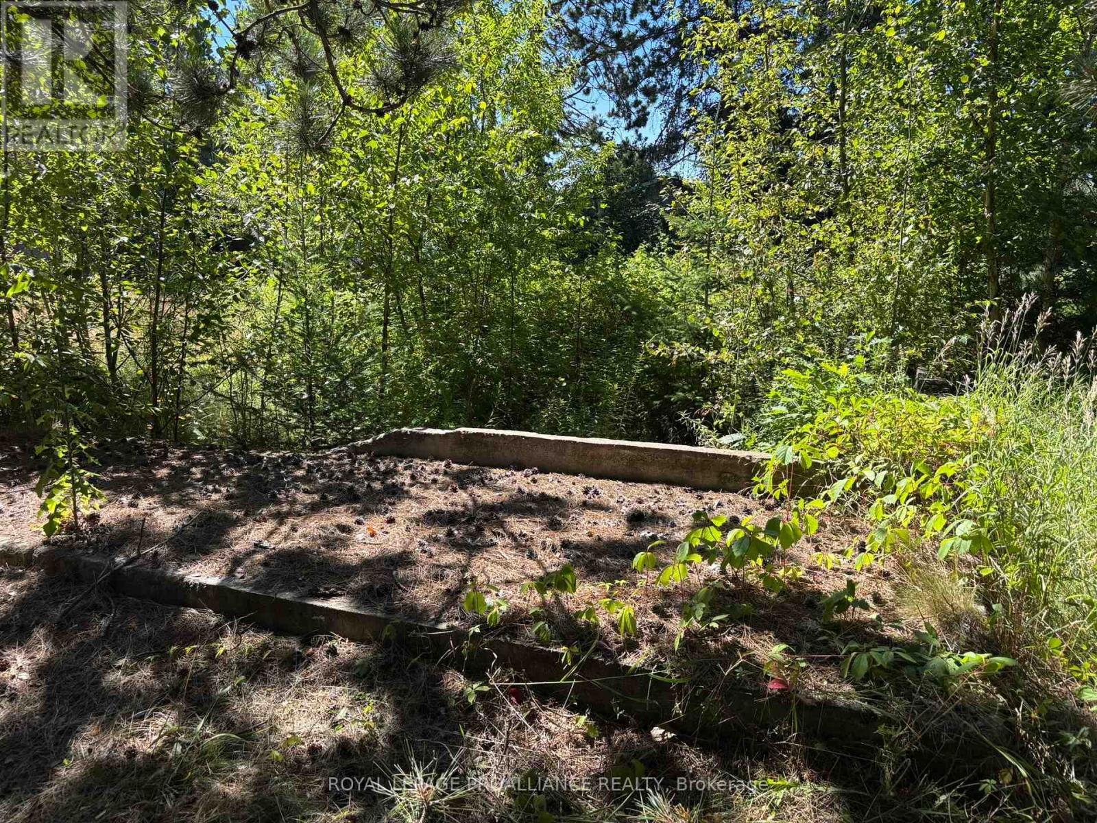 49 Second Avenue, South Algonquin, Ontario  K0J 2M0 - Photo 27 - X12344563