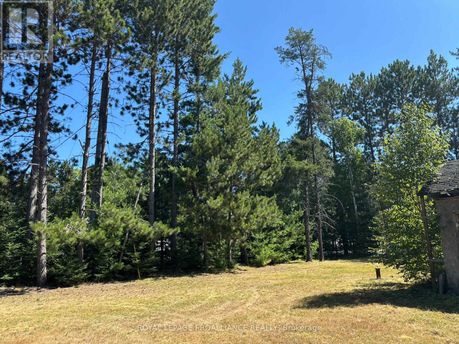 49 Second Avenue, South Algonquin, Ontario  K0J 2M0 - Photo 28 - X12344563