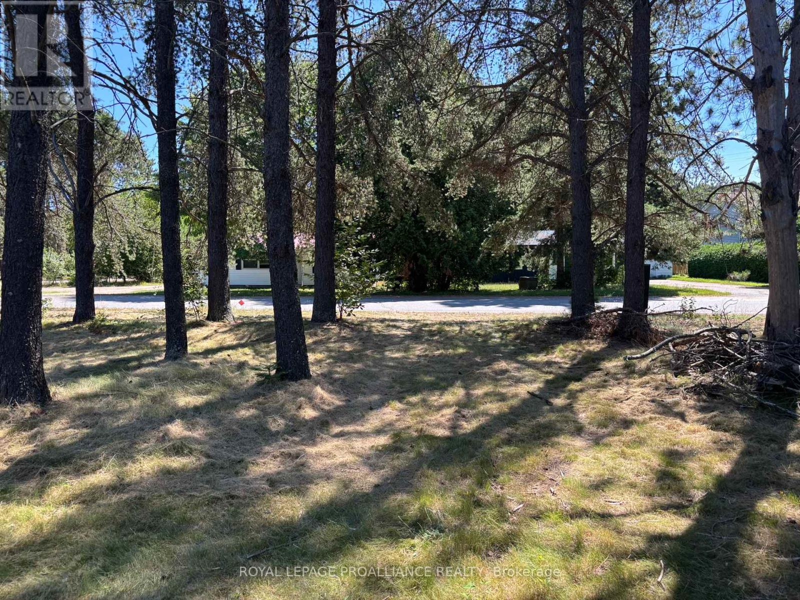 49 Second Avenue, South Algonquin, Ontario  K0J 2M0 - Photo 3 - X12344563