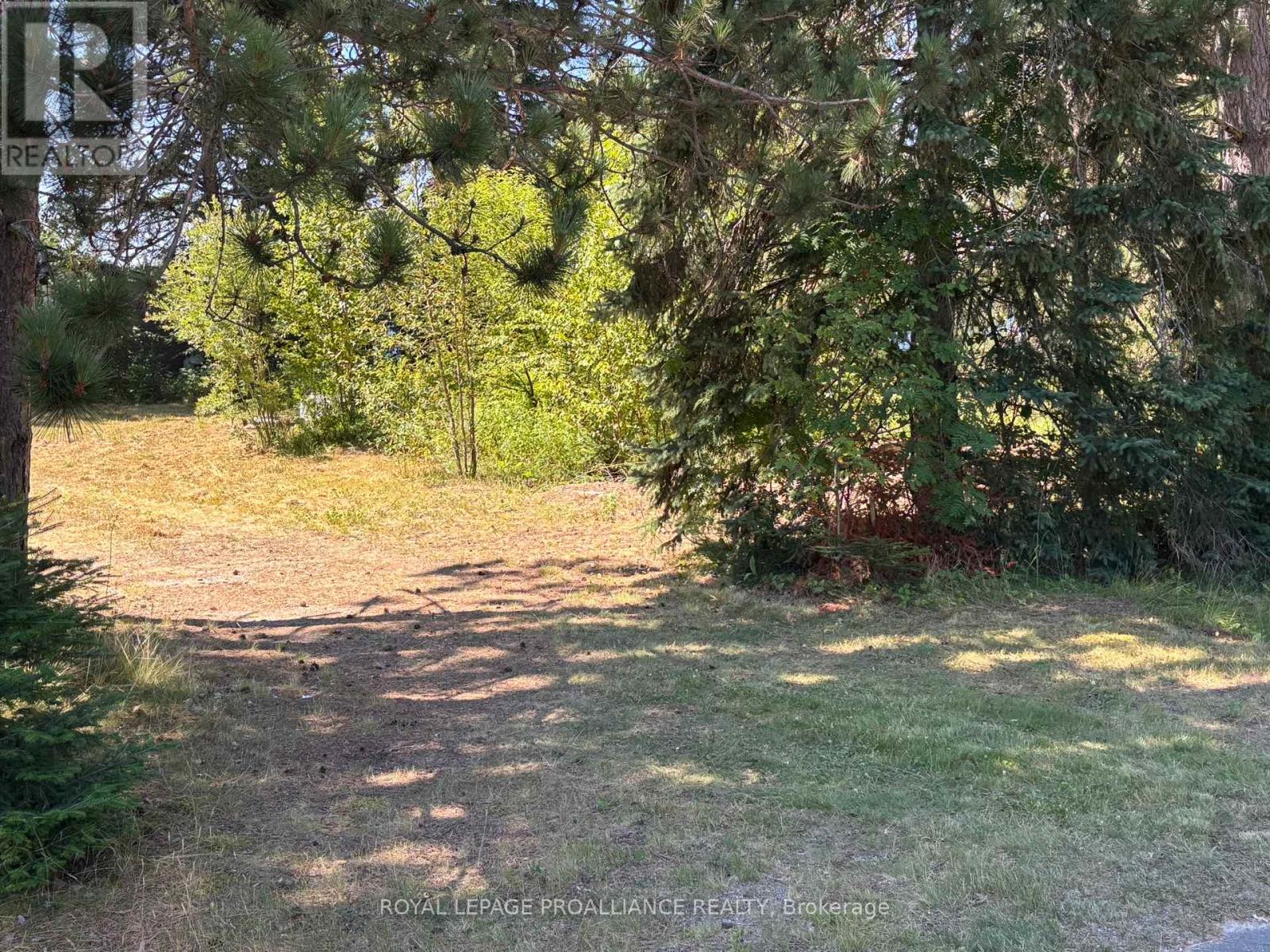 49 Second Avenue, South Algonquin, Ontario  K0J 2M0 - Photo 32 - X12344563