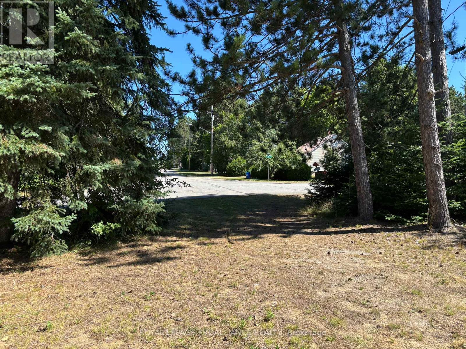 49 Second Avenue, South Algonquin, Ontario  K0J 2M0 - Photo 5 - X12344563