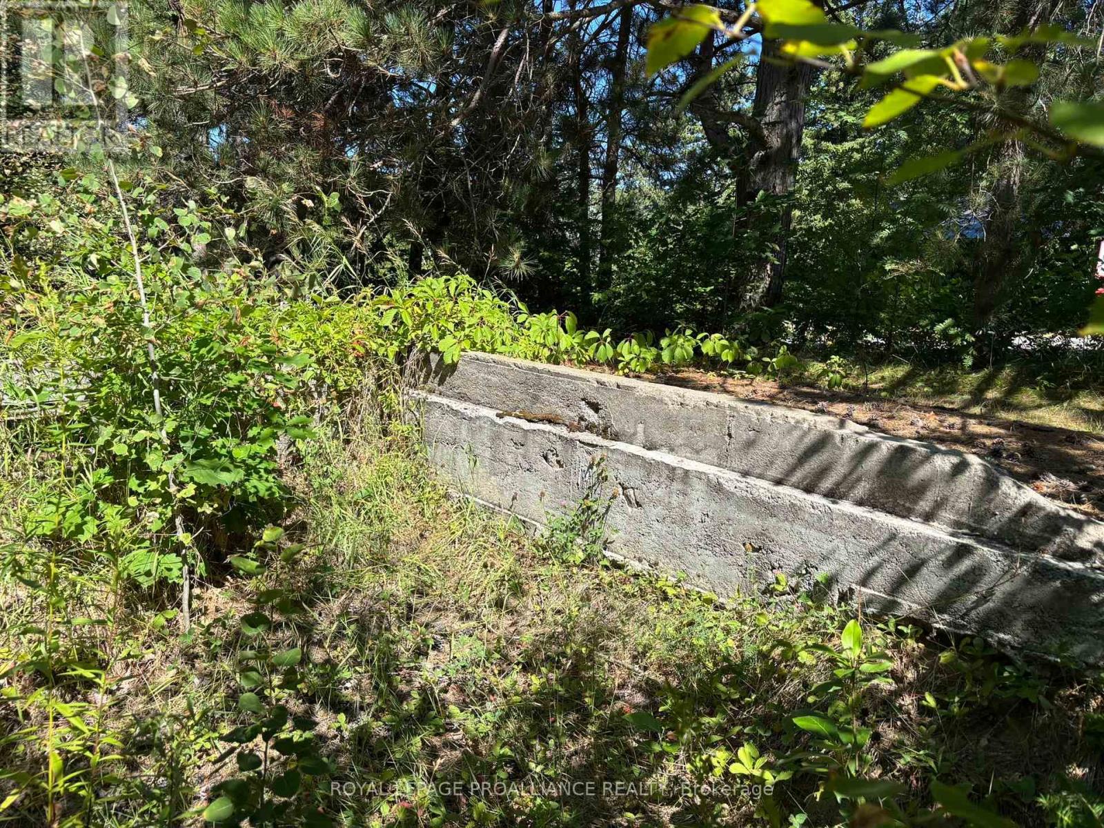 49 Second Avenue, South Algonquin, Ontario  K0J 2M0 - Photo 6 - X12344563