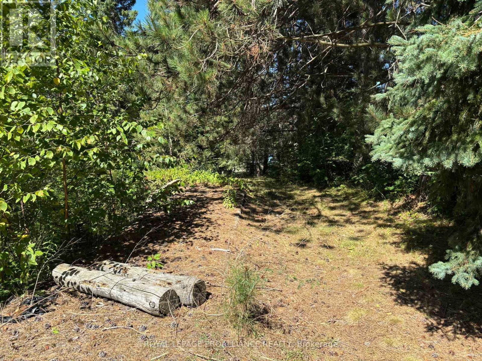 49 Second Avenue, South Algonquin, Ontario  K0J 2M0 - Photo 7 - X12344563