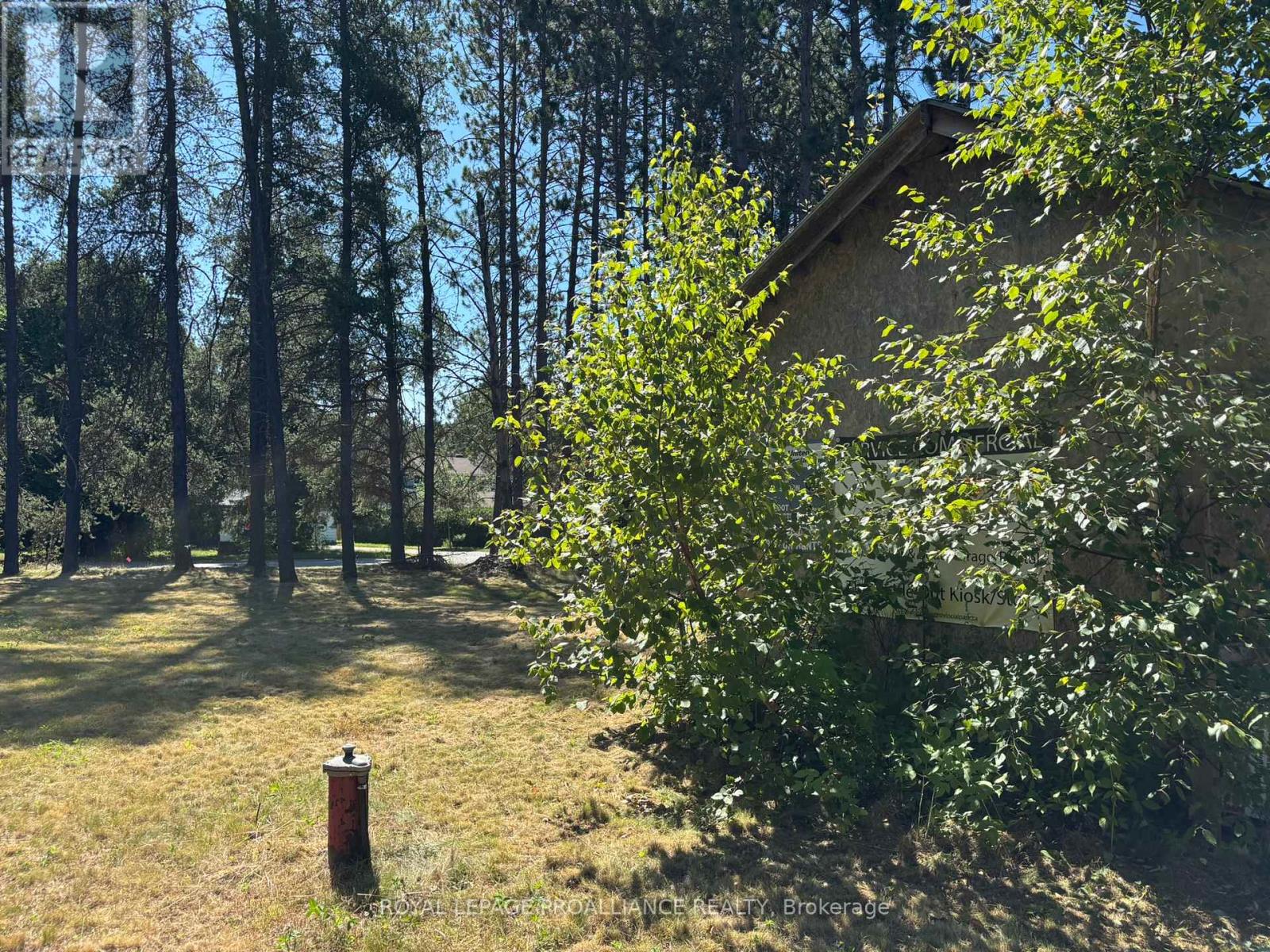 49 Second Avenue, South Algonquin, Ontario  K0J 2M0 - Photo 9 - X12344563