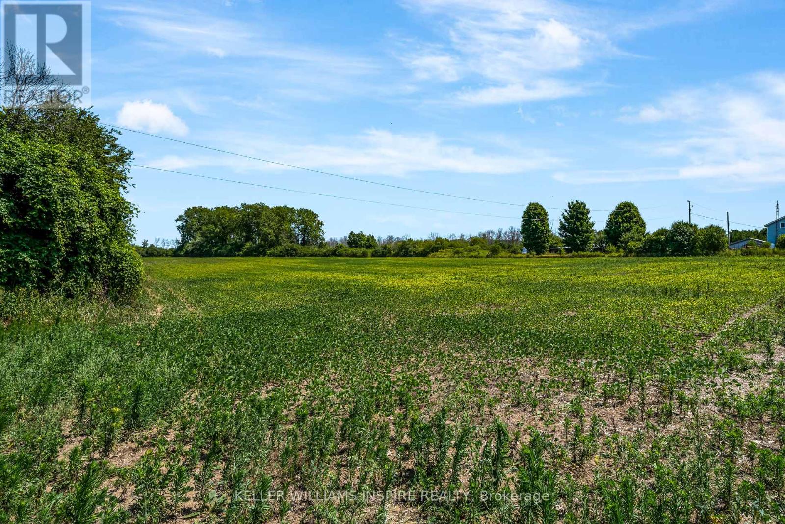 00 Loyalist Parkway, Prince Edward County, Ontario  K0K 3L0 - Photo 18 - X12344575
