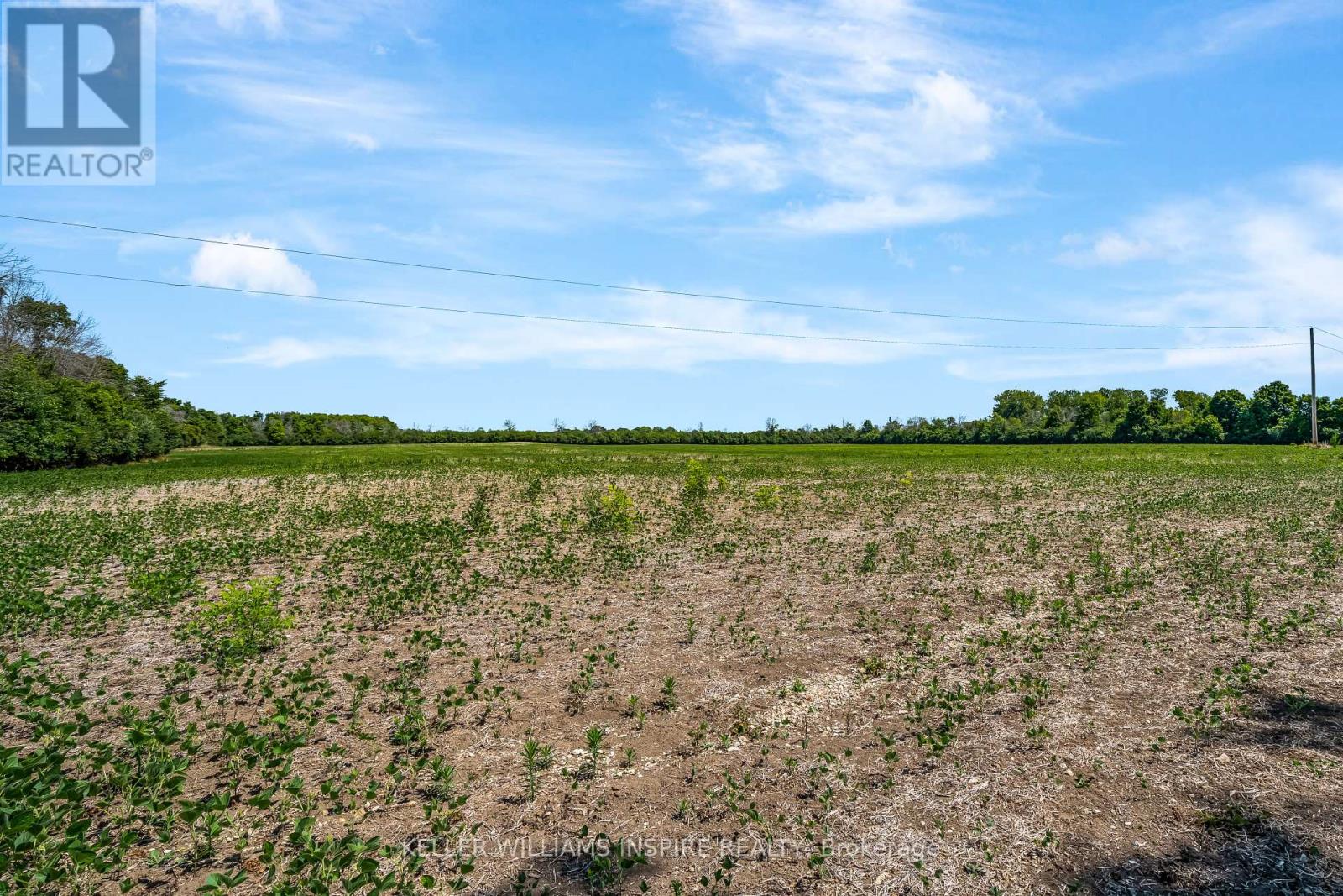 00 Loyalist Parkway, Prince Edward County, Ontario  K0K 3L0 - Photo 21 - X12344575