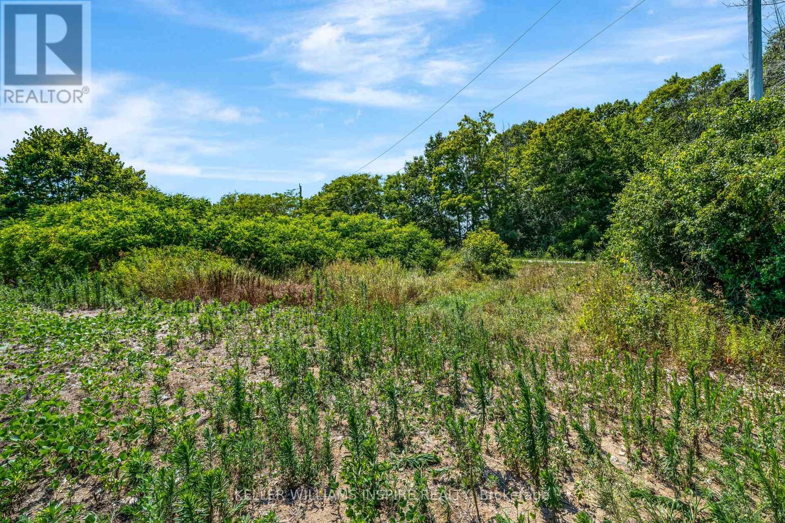 00 Loyalist Parkway, Prince Edward County, Ontario  K0K 3L0 - Photo 23 - X12344575