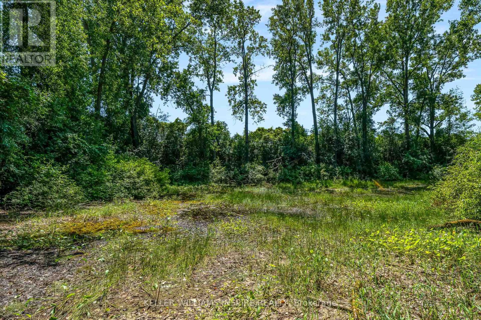 00 Loyalist Parkway, Prince Edward County, Ontario  K0K 3L0 - Photo 24 - X12344575