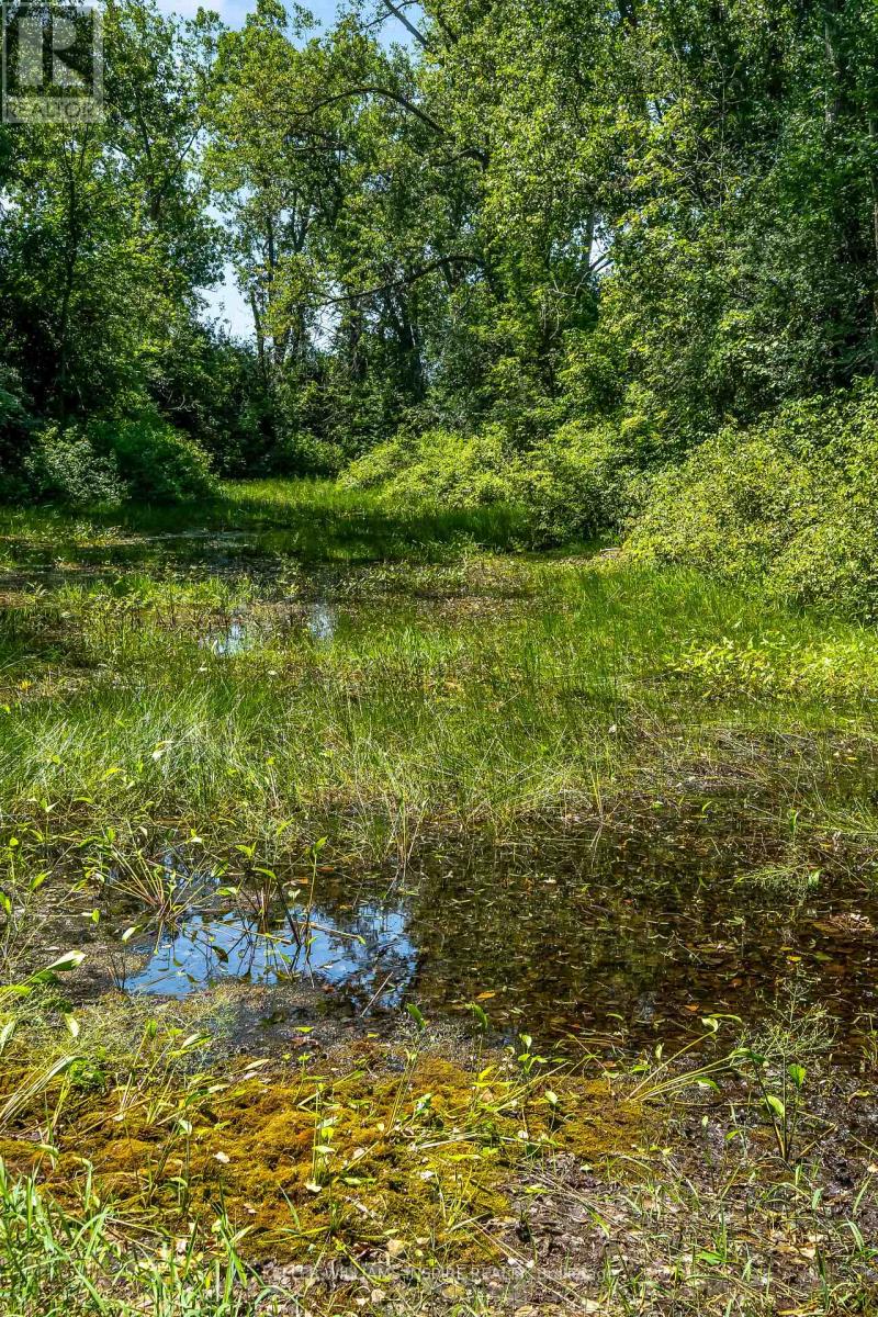 00 Loyalist Parkway, Prince Edward County, Ontario  K0K 3L0 - Photo 25 - X12344575