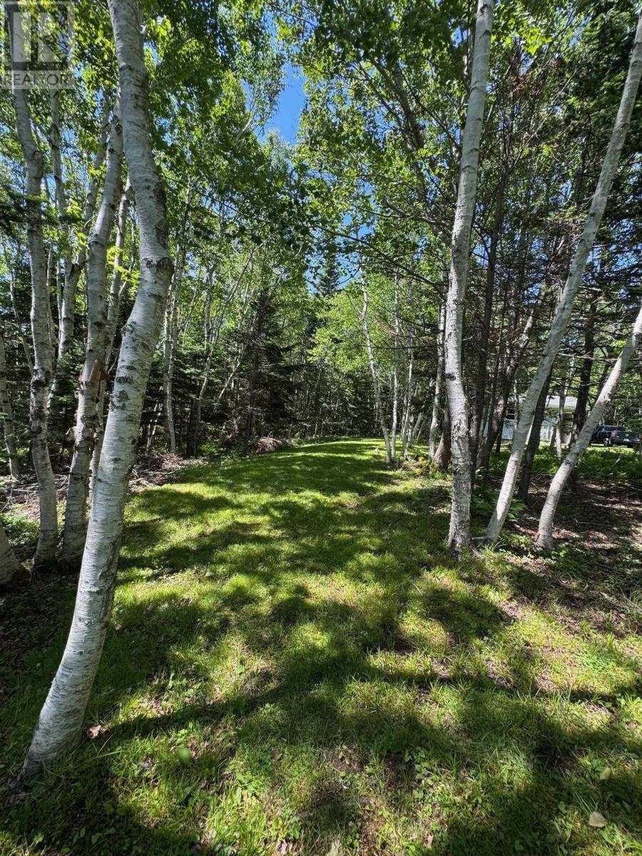 64 Birch Pond Lane, West Bay Marshes, Nova Scotia  B0E 2Y0 - Photo 23 - 202516355