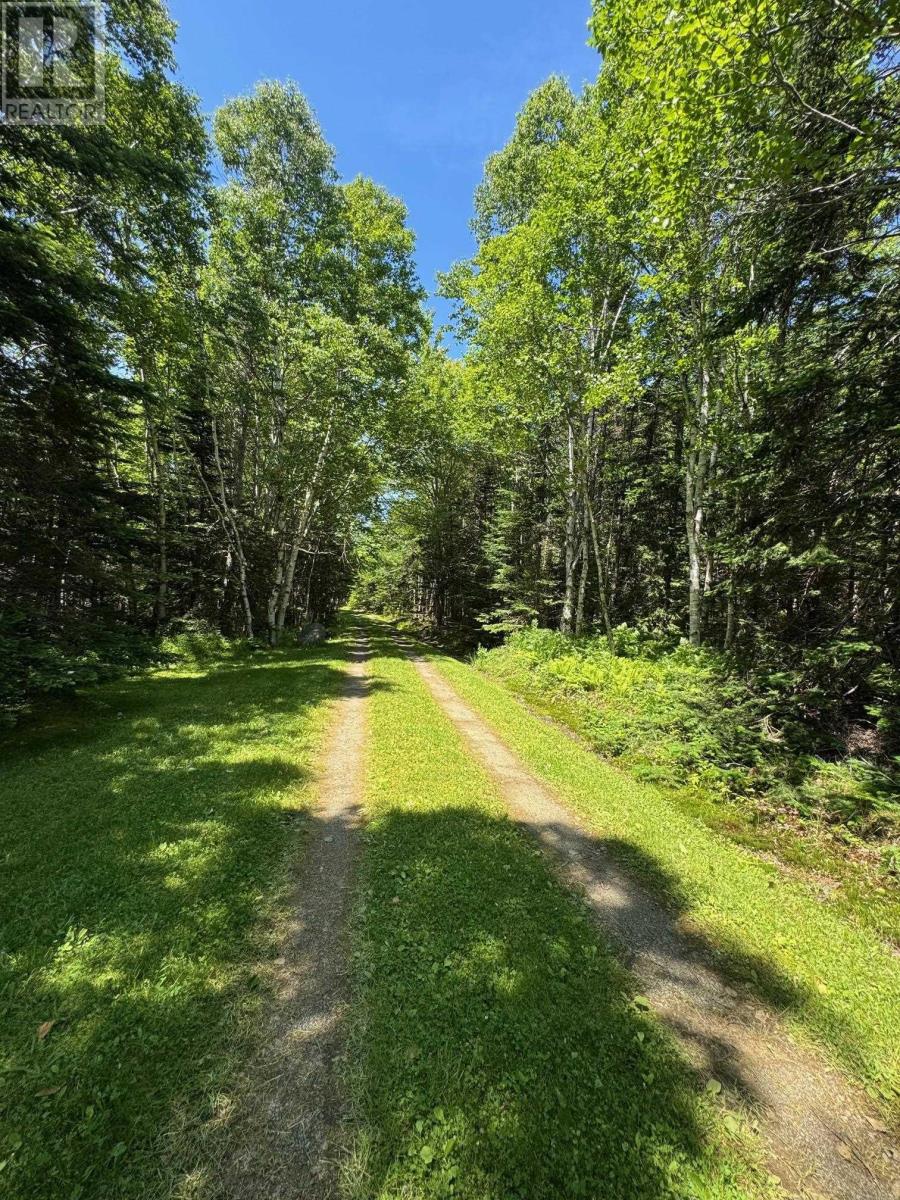 64 Birch Pond Lane, West Bay Marshes, Nova Scotia  B0E 2Y0 - Photo 27 - 202516355