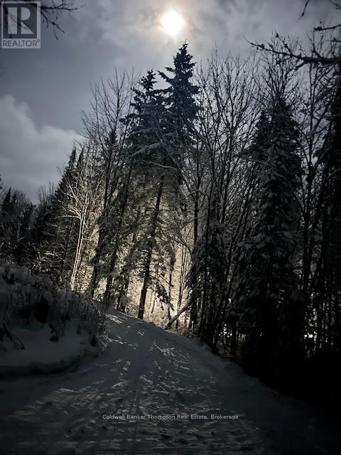 2613 Stisted Road S, Mcmurrich/monteith, Ontario P0A 1Y0 - Photo 11 - X12344726