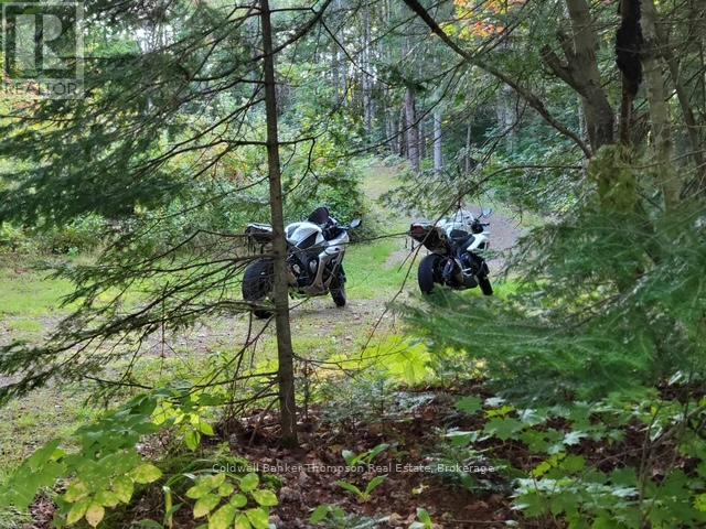 2613 Stisted Road S, Mcmurrich/monteith, Ontario P0A 1Y0 - Photo 12 - X12344726