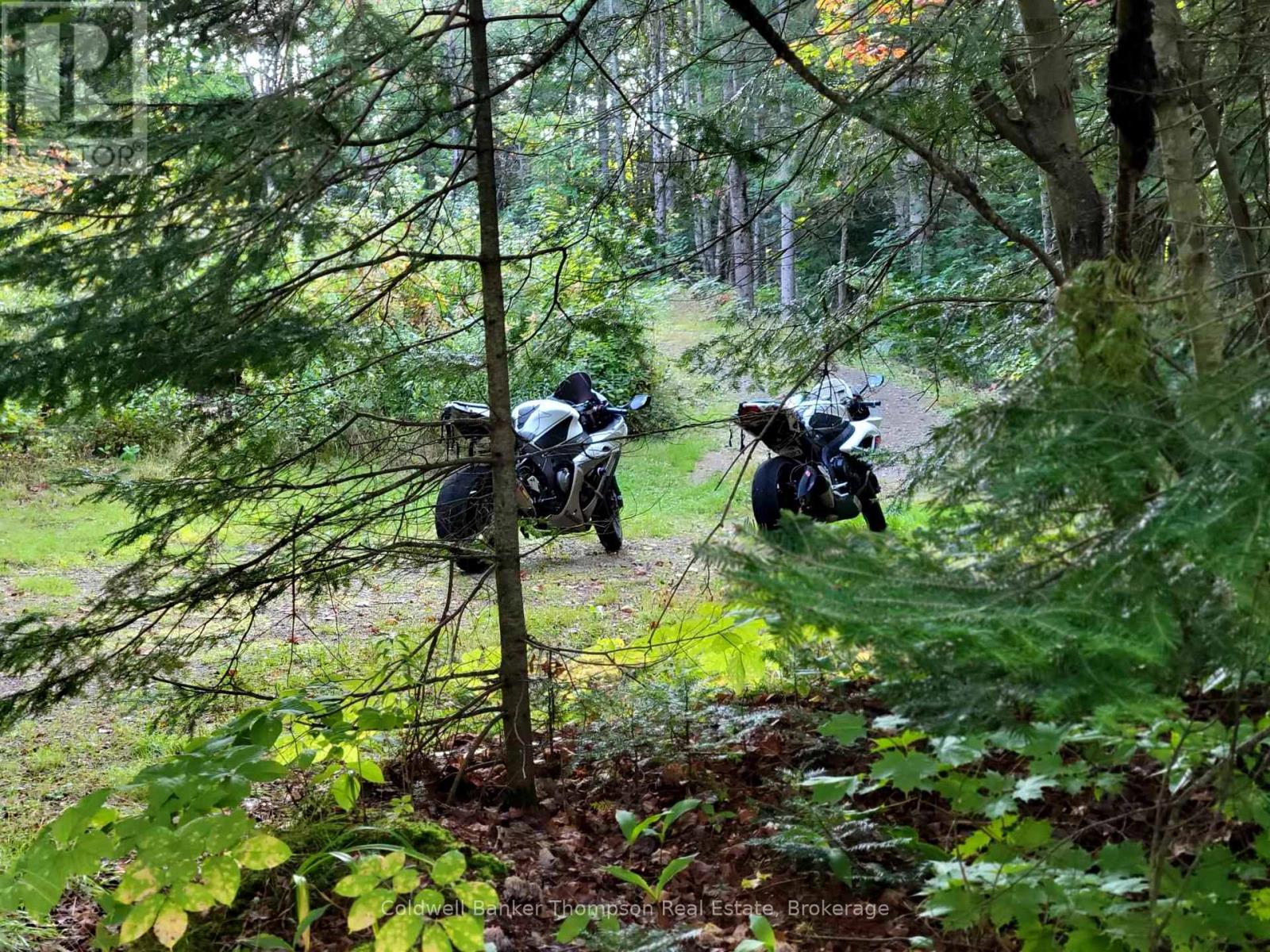 2613 Stisted Road S, Mcmurrich/monteith, Ontario P0A 1Y0 - Photo 14 - X12344726