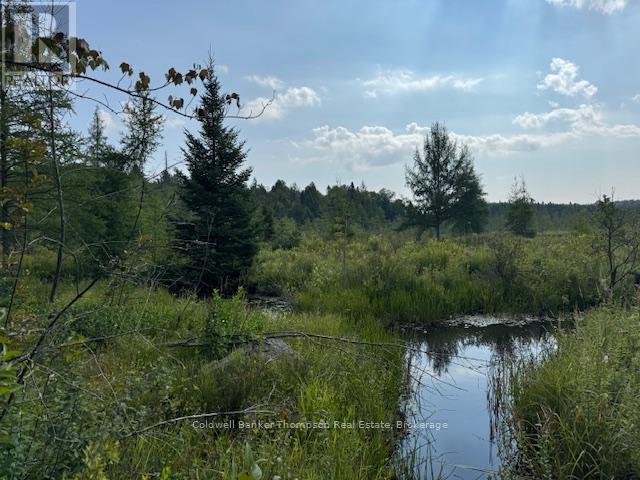 2613 Stisted Road S, Mcmurrich/monteith, Ontario P0A 1Y0 - Photo 7 - X12344726