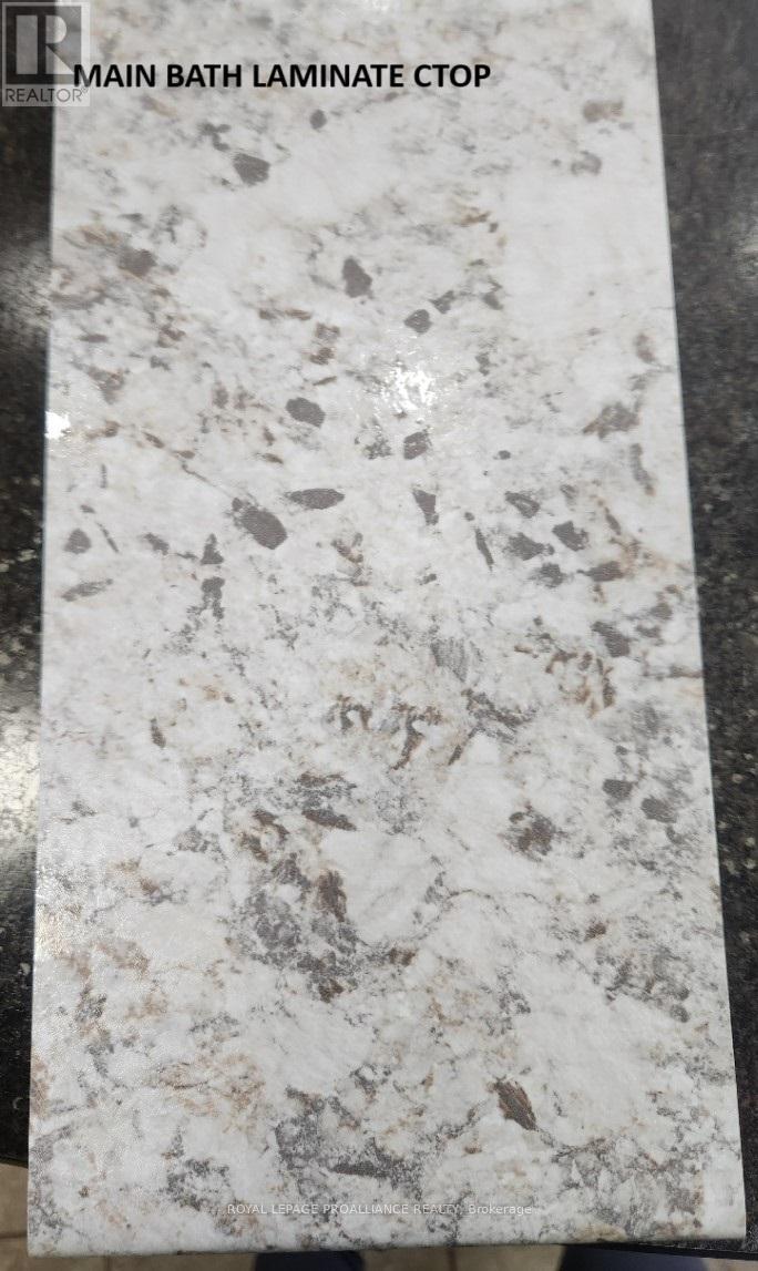 208 Homewood Avenue, Trent Hills, Ontario  K0L 1Y0 - Photo 16 - X12260695