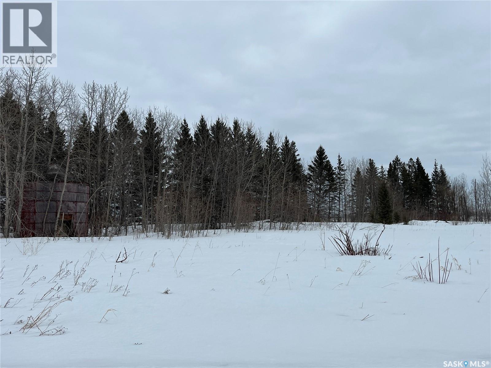 Rural Address, Rose Valley, Saskatchewan  S0E 1M0 - Photo 42 - SK015650