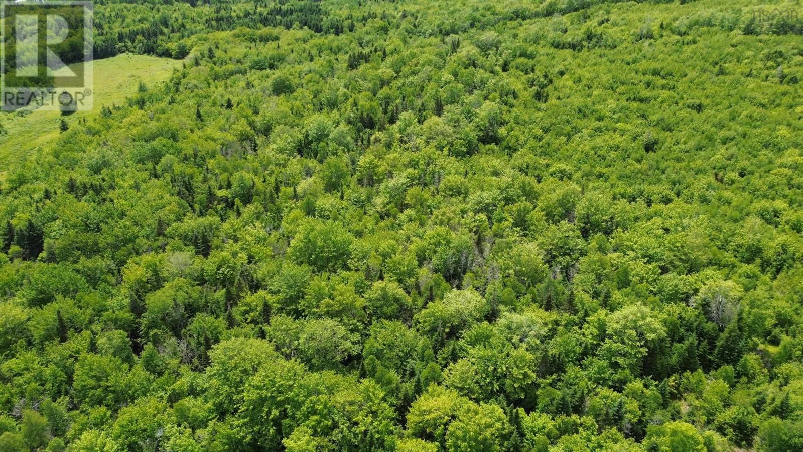 Acreage Ainslie Glen Road, Ainslie Glen, Nova Scotia  B0E 3M0 - Photo 12 - 202514737