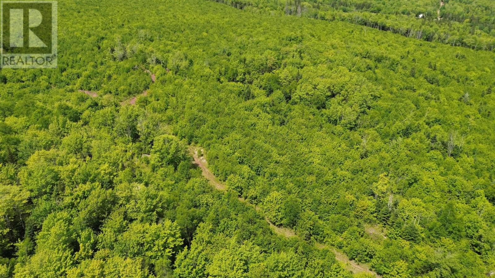 Acreage Ainslie Glen Road, Ainslie Glen, Nova Scotia  B0E 3M0 - Photo 17 - 202514737