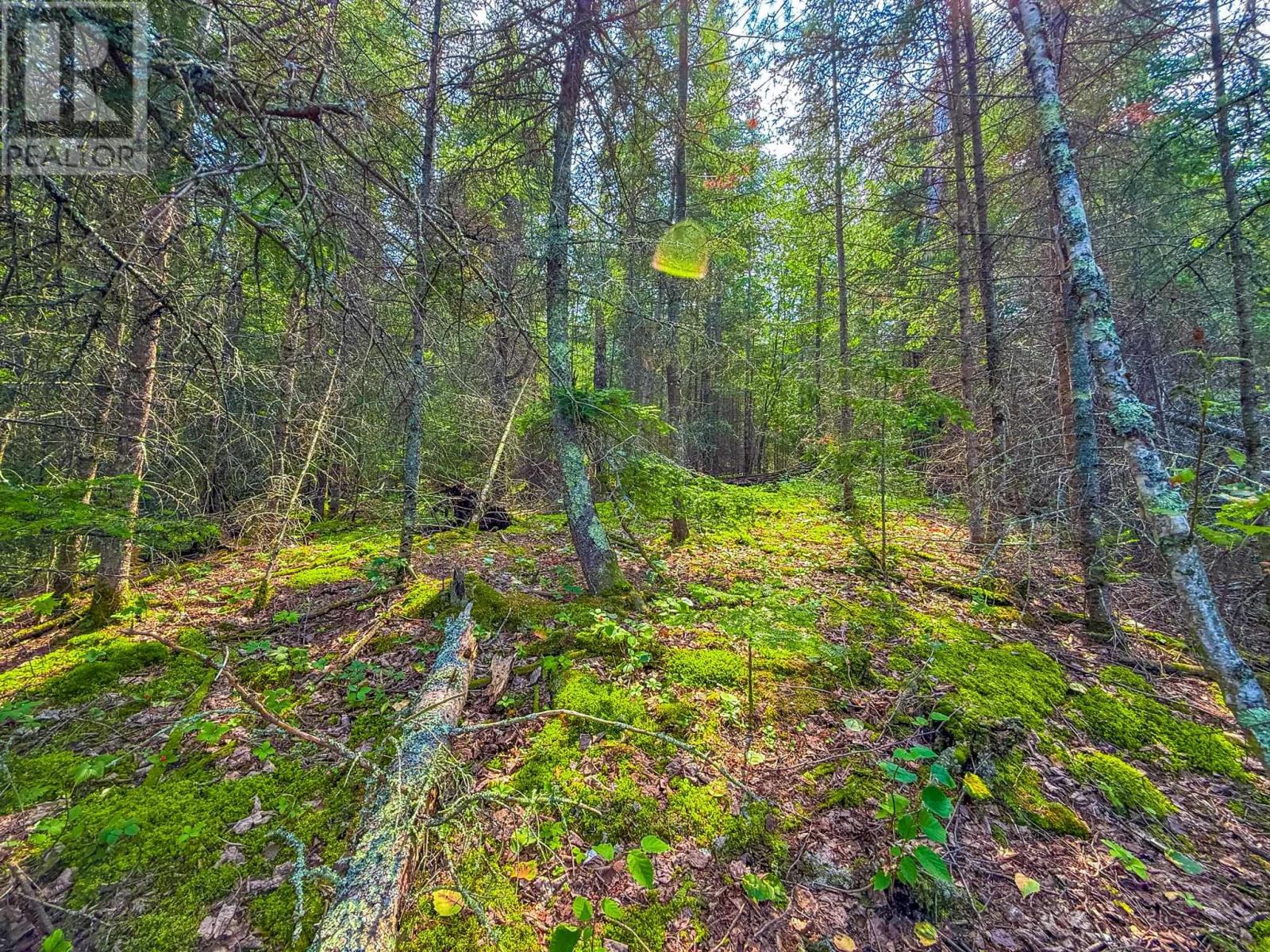 1 Pine Meadow Drive, Kenora, Ontario  P0X 1C0 - Photo 8 - TB252378