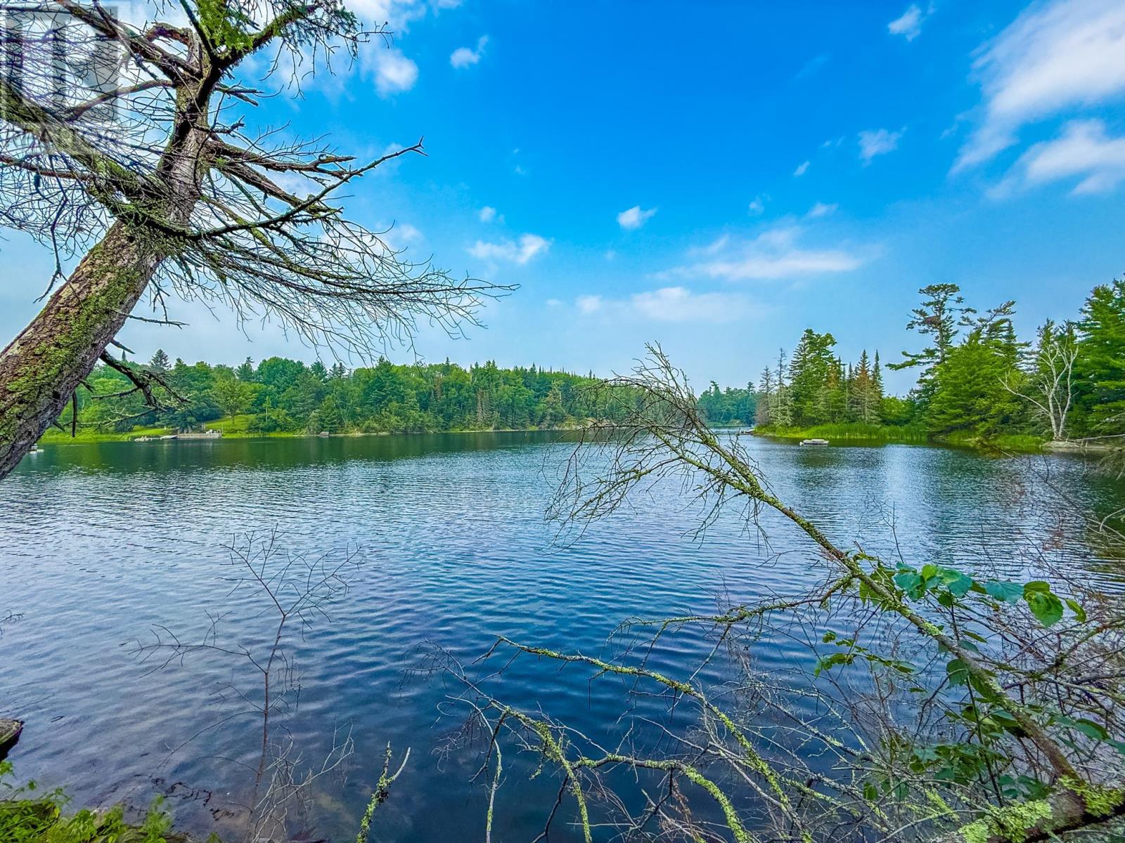 1 Pine Meadow Drive, Kenora, Ontario  P0X 1C0 - Photo 6 - TB252378