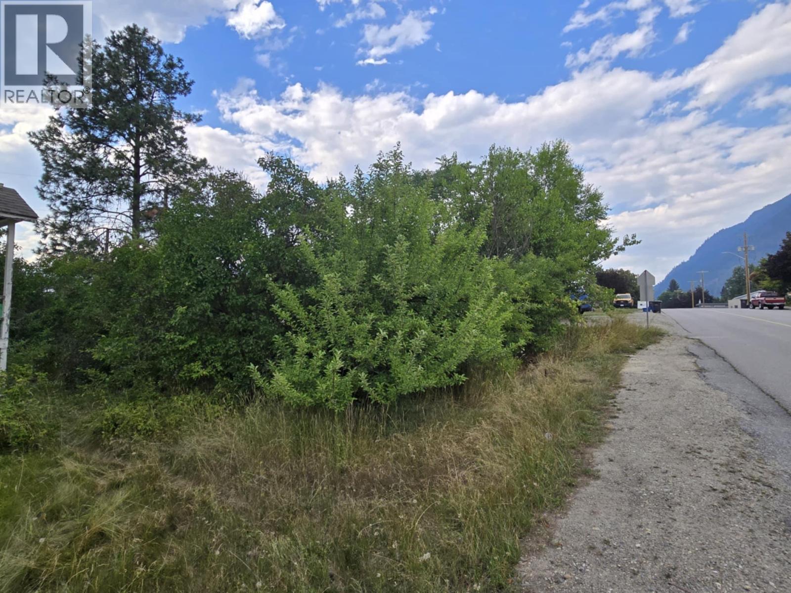 556 7th Avenue, Castlegar, British Columbia  V1N 1R4 - Photo 11 - 10359299
