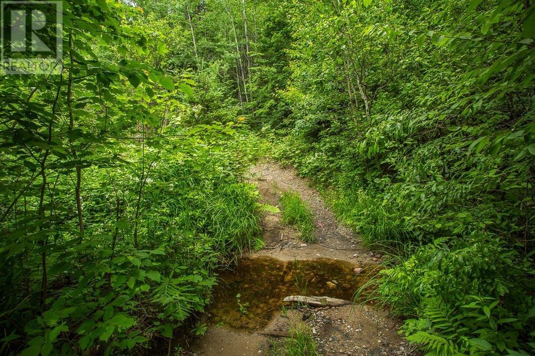 Highway 17 Sheppards Lane/strawberry Hill Rd, Township Of North Shore, Ontario  P0R 1K0 - Photo 6 - SM251693
