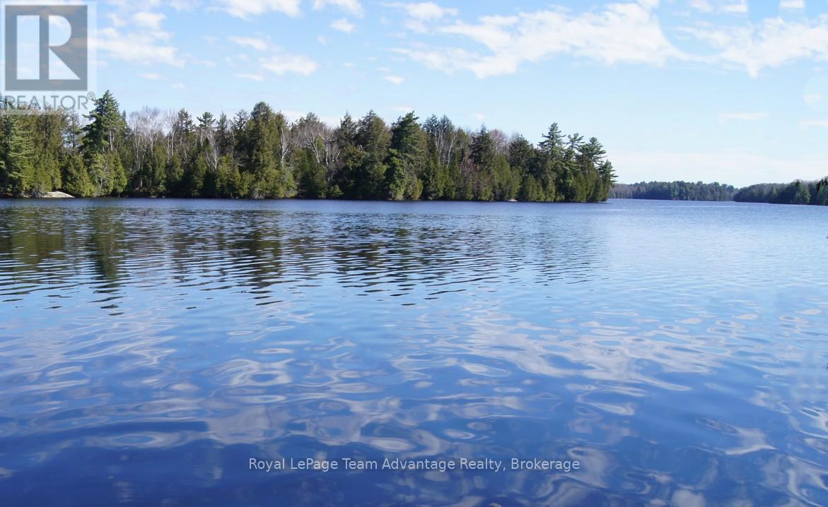 25 PENINSULA SHORE ROAD E, McDougall, Ontario