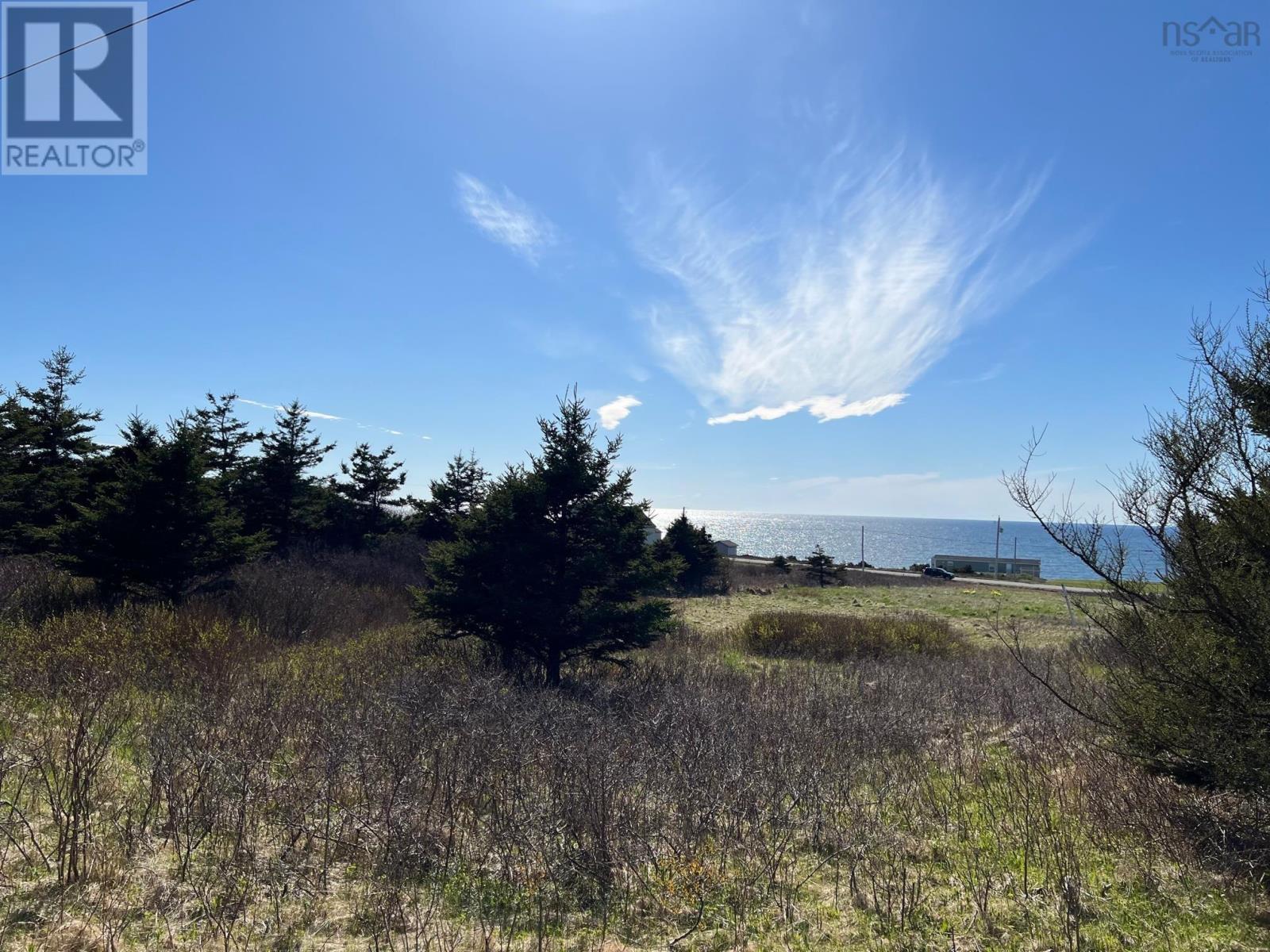 11838 Cabot Trail, Cap Le Moine, Nova Scotia  B0E 3A0 - Photo 4 - 202520632