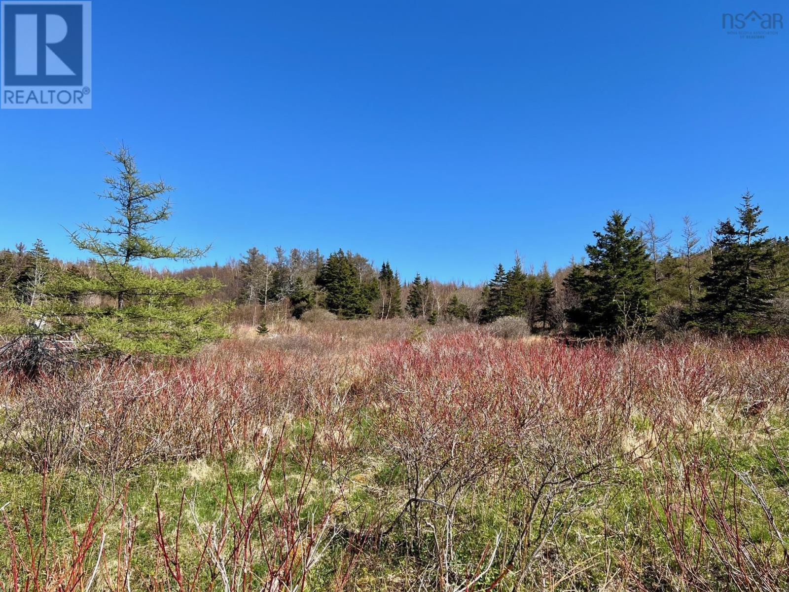 11838 Cabot Trail, Cap Le Moine, Nova Scotia  B0E 3A0 - Photo 6 - 202520632