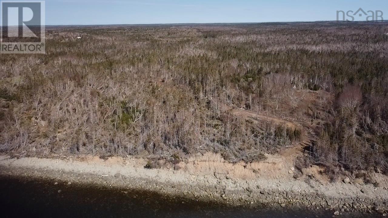 0 No. 255 Highway, Round Island, Nova Scotia  B1P 1P4 - Photo 4 - 202517499