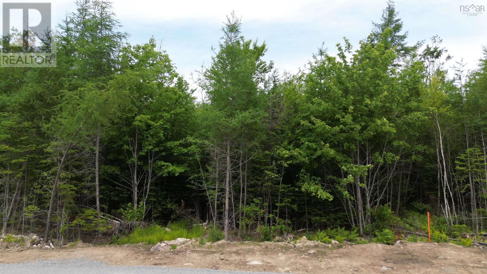 Block 1 Pearl Lane, Lot 11, Lot 12, Lot 15, Lot 16 Pearl Road, Hillsvale, Nova Scotia  B0N 1Z0 - Photo 6 - 202515868
