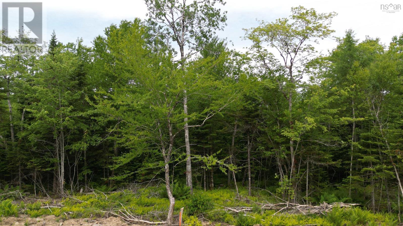 Block 1 Pearl Lane, Lot 11, Lot 12, Lot 15, Lot 16 Pearl Road, Hillsvale, Nova Scotia  B0N 1Z0 - Photo 5 - 202515868