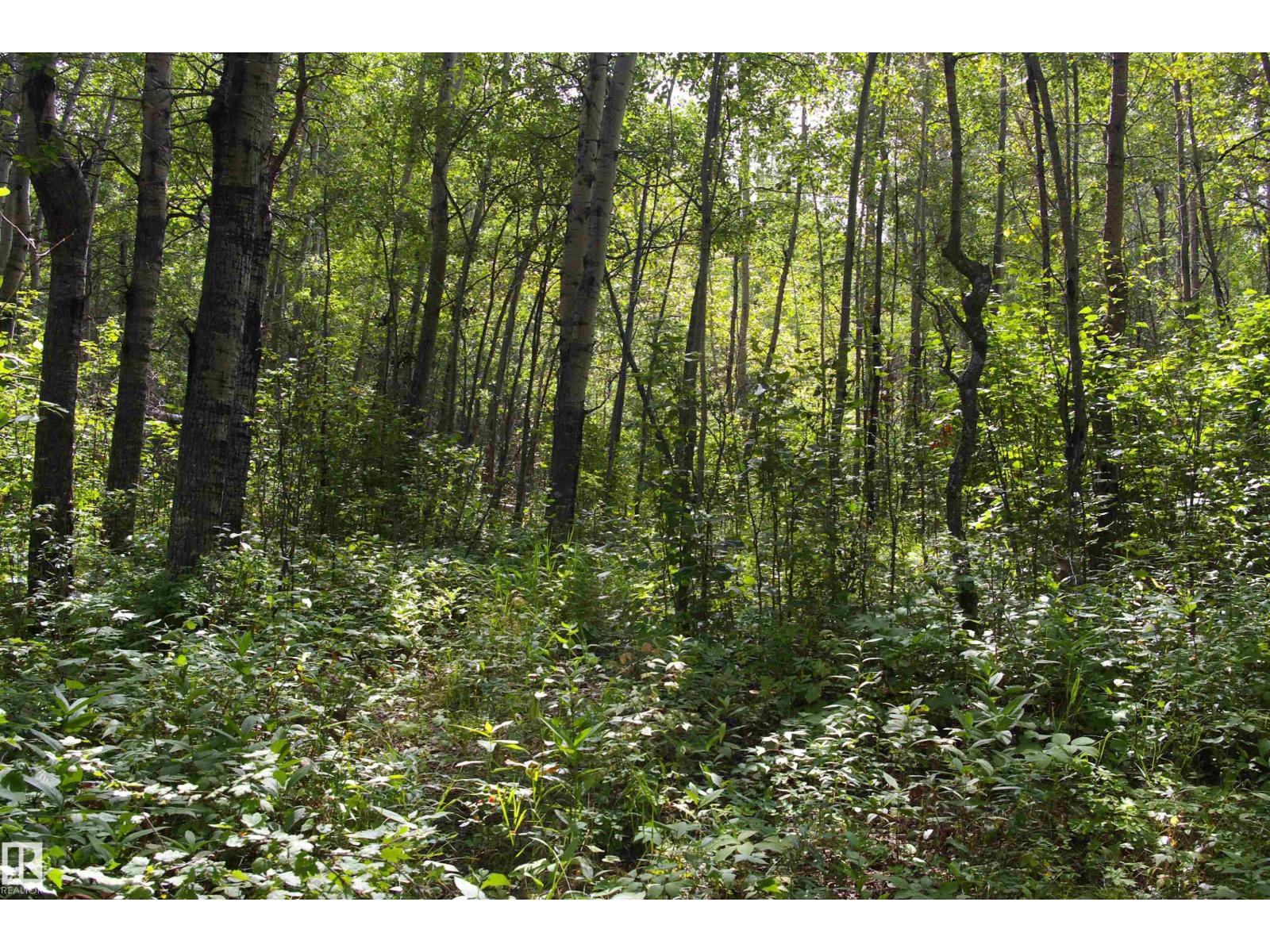 1301 Glen Haven Cr, Rural Wetaskiwin County, Alberta  T0C 2C0 - Photo 33 - E4452968