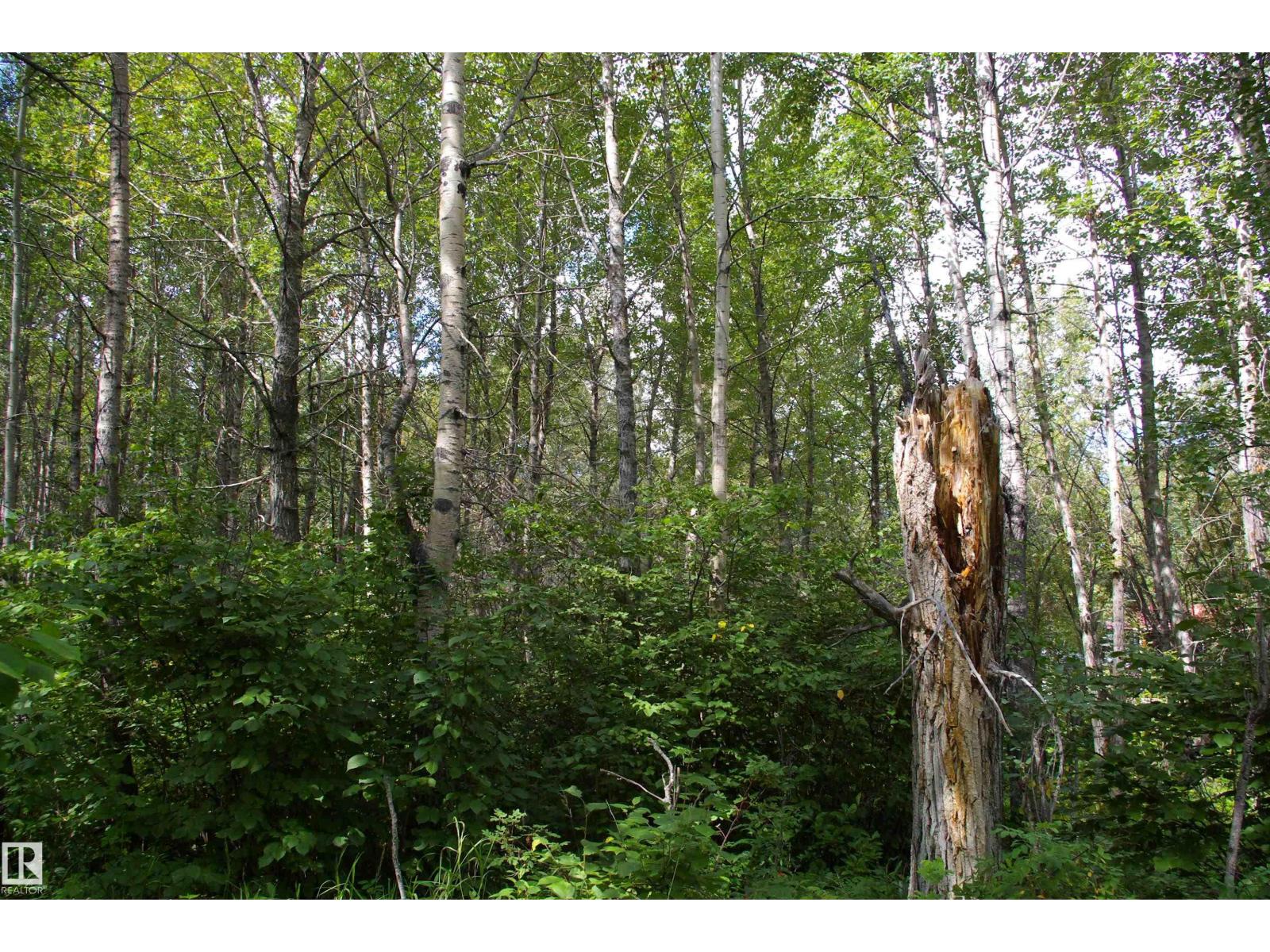 1301 Glen Haven Cr, Rural Wetaskiwin County, Alberta  T0C 2C0 - Photo 34 - E4452968