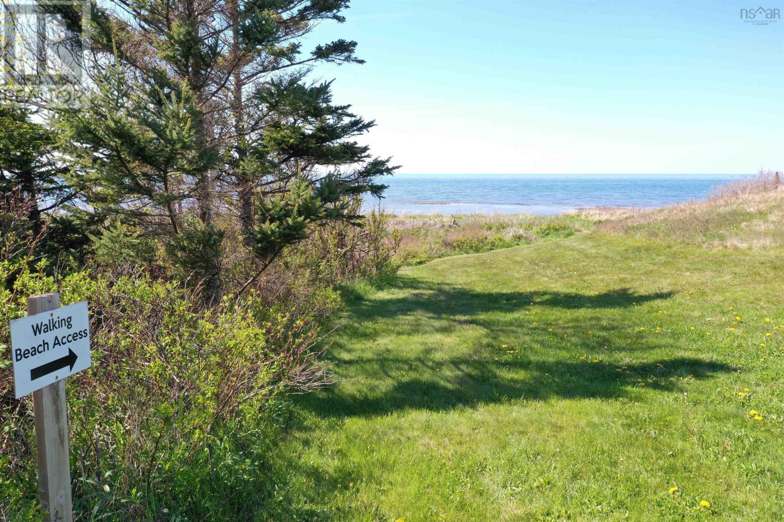 19 Danas Lane, Ponds, Nova Scotia  B0K 1G0 - Photo 46 - 202512957