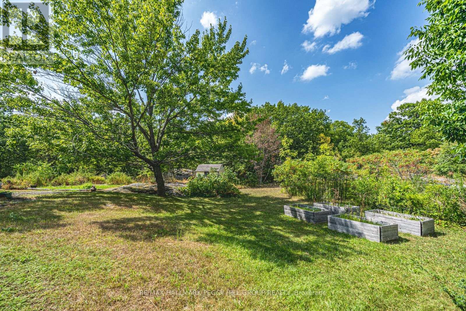 87 Corrievale Road, Georgian Bay, Ontario  L0K 1S0 - Photo 15 - X12341703