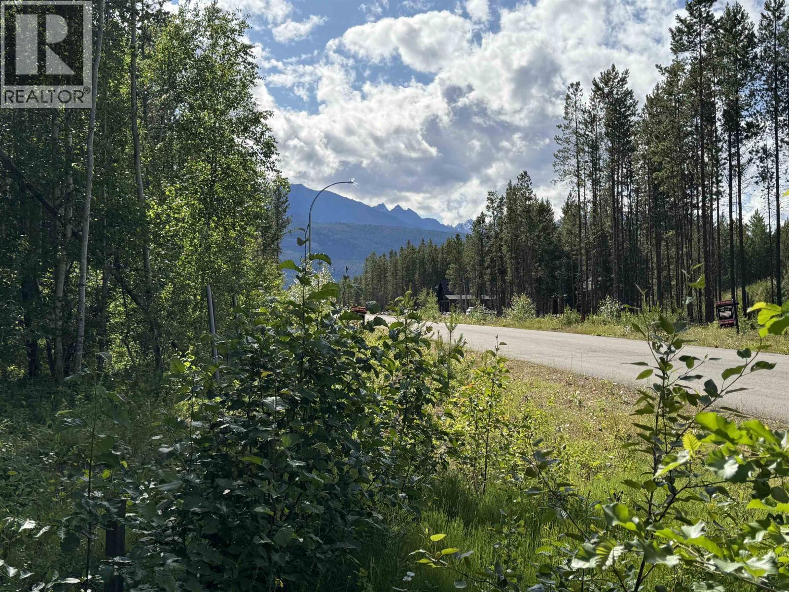 1015 18TH AVENUE, Valemount, British Columbia