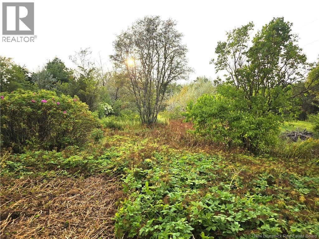 Property at 1289 Scenic Narrows Boulevard image 2