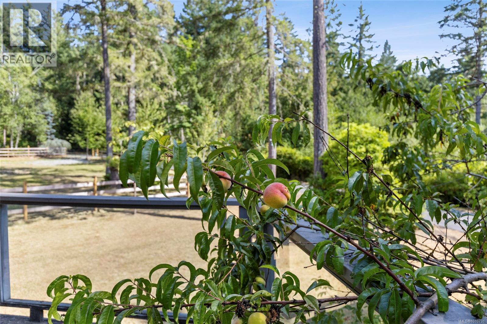 Property at 4786 Hillbank Rd image 1