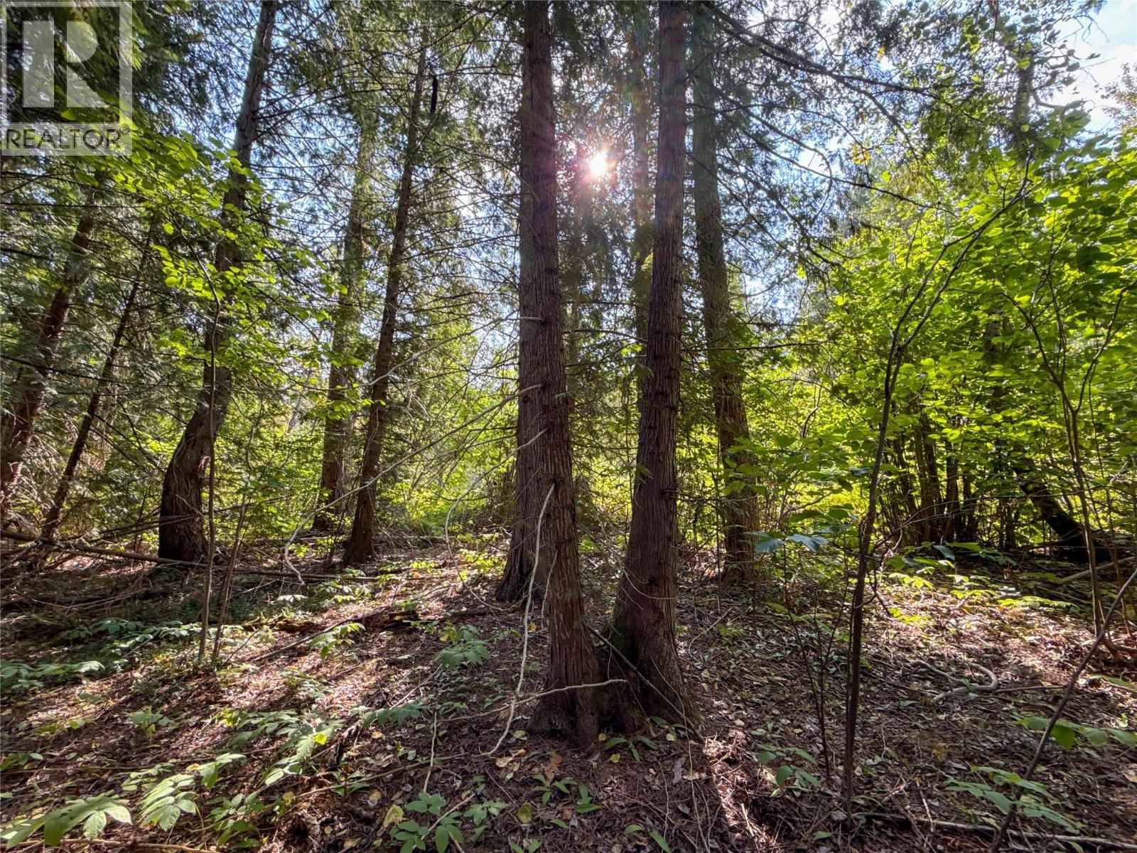 Nixon Road Lot# 84, Appledale, British Columbia  V0G 2J0 - Photo 10 - 10359265