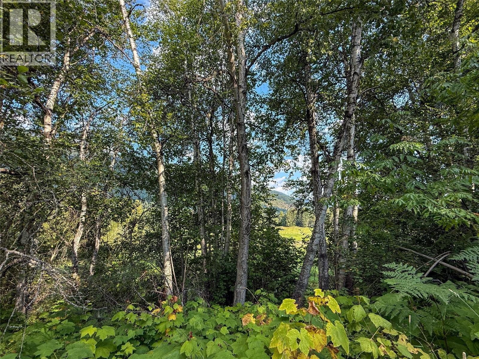 Nixon Road Lot# 84, Appledale, British Columbia  V0G 2J0 - Photo 11 - 10359265