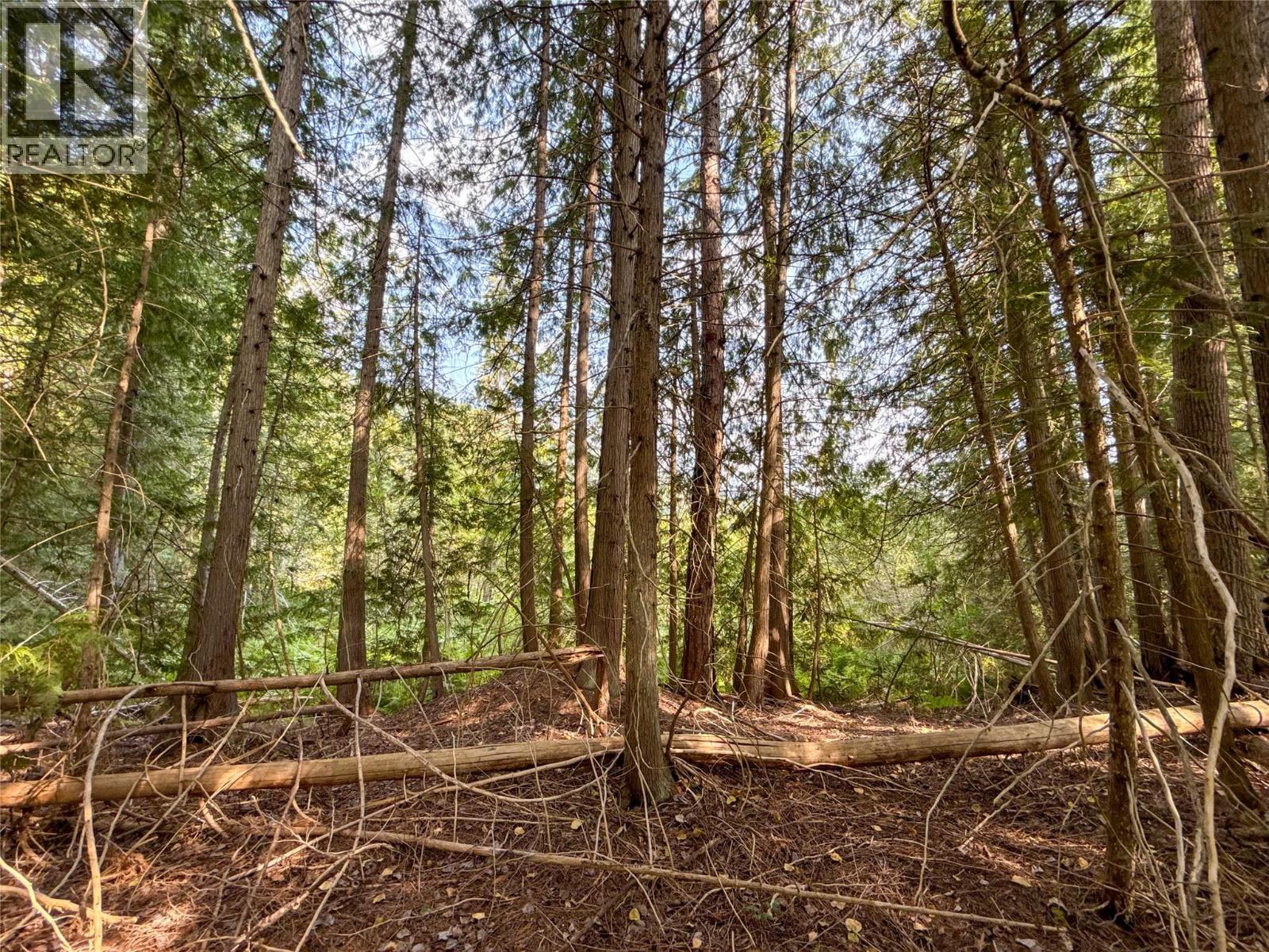 Nixon Road Lot# 84, Appledale, British Columbia  V0G 2J0 - Photo 12 - 10359265