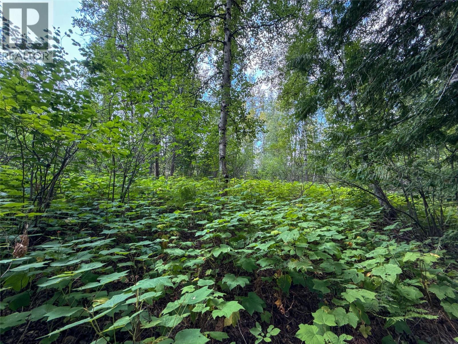 Nixon Road Lot# 84, Appledale, British Columbia  V0G 2J0 - Photo 13 - 10359265