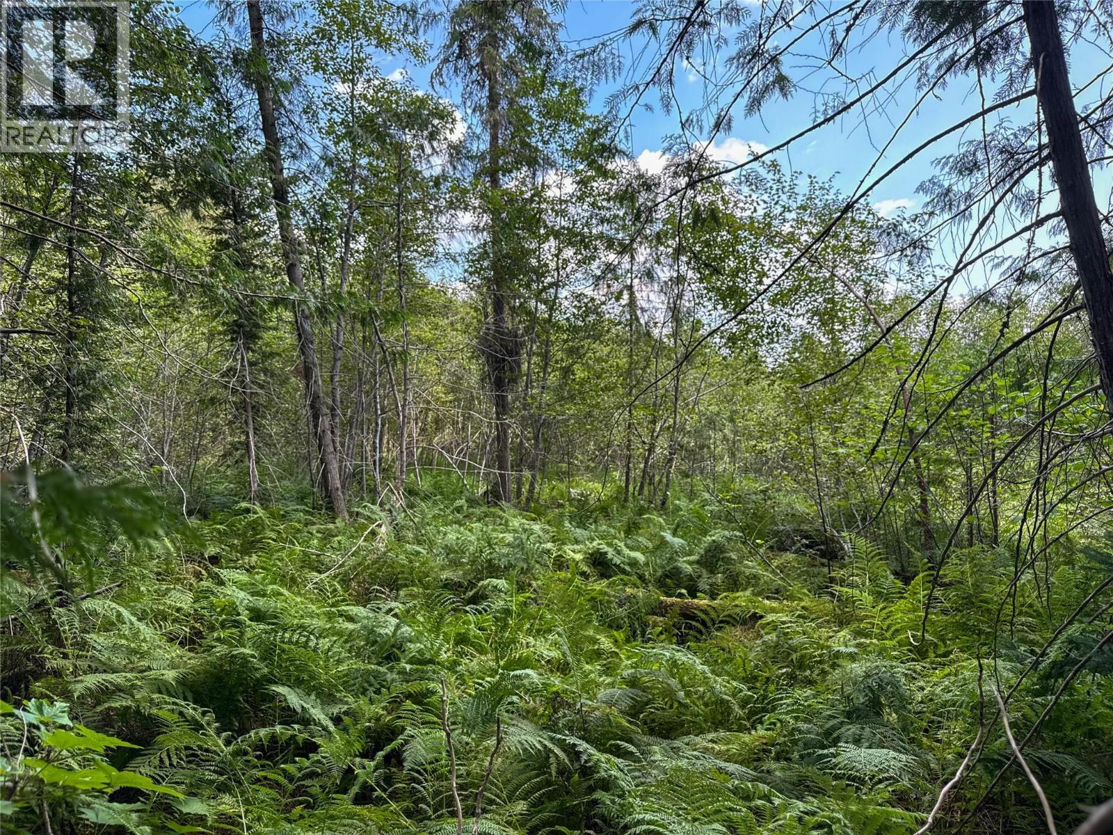 Nixon Road Lot# 84, Appledale, British Columbia  V0G 2J0 - Photo 14 - 10359265