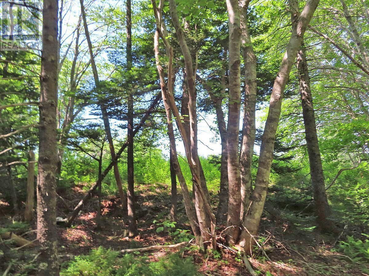 Lot 2 Perry Lane, Lennox Passage, Nova Scotia  B0E 1K0 - Photo 12 - 202416052