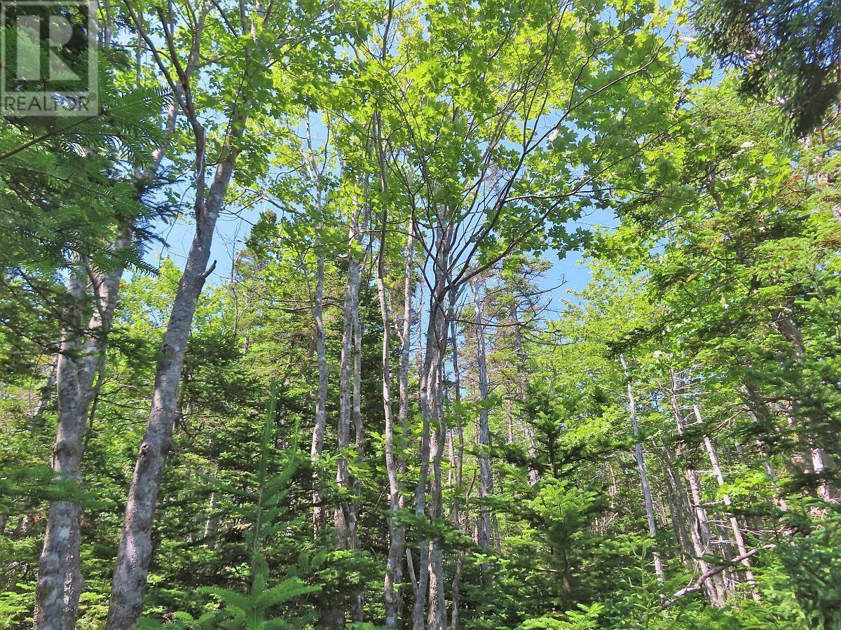 Lot 2 Perry Lane, Lennox Passage, Nova Scotia  B0E 1K0 - Photo 8 - 202416052