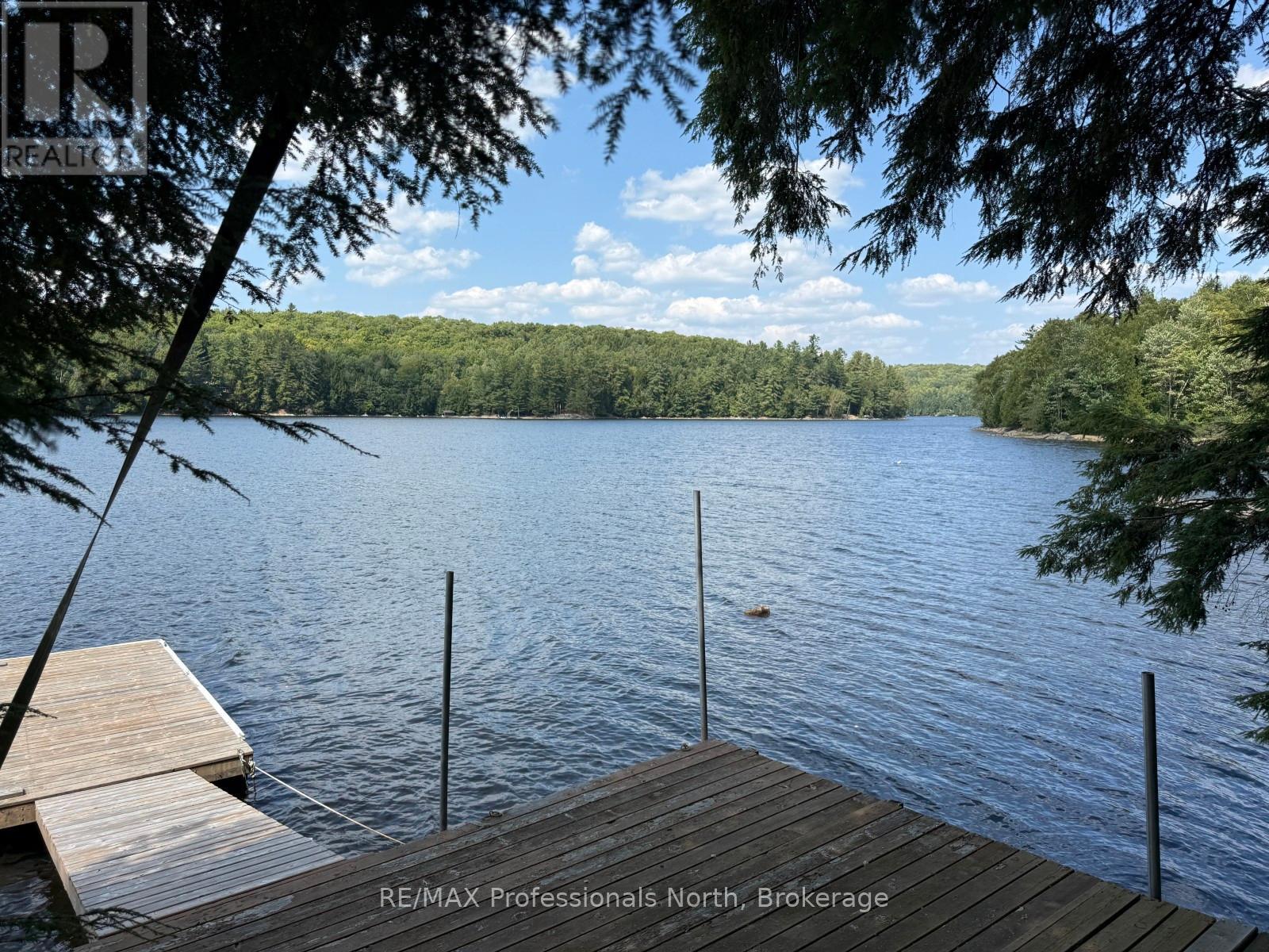 2169 Fred Jones Road, Dysart Et Al, Ontario  K0M 1S0 - Photo 11 - X12345566